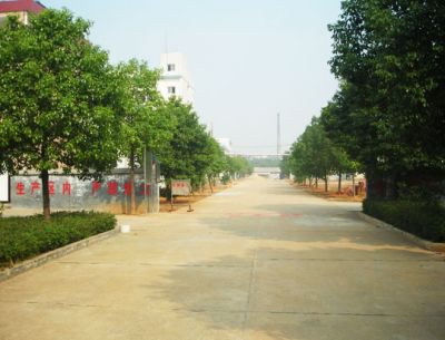 企業風貌